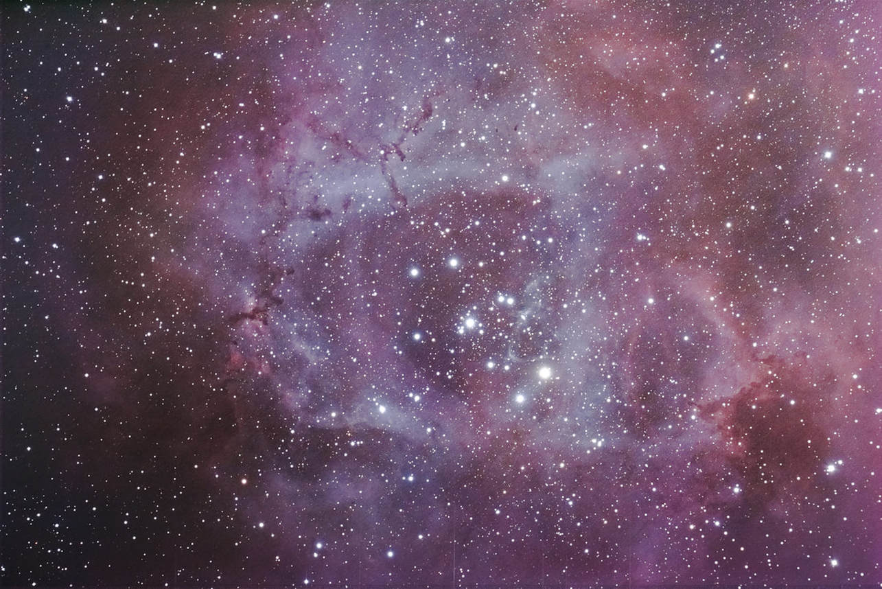 The Rosette Nebula